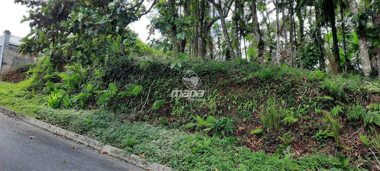 Terreno Urbano à venda, Estados - Timbó/SC - foto 1