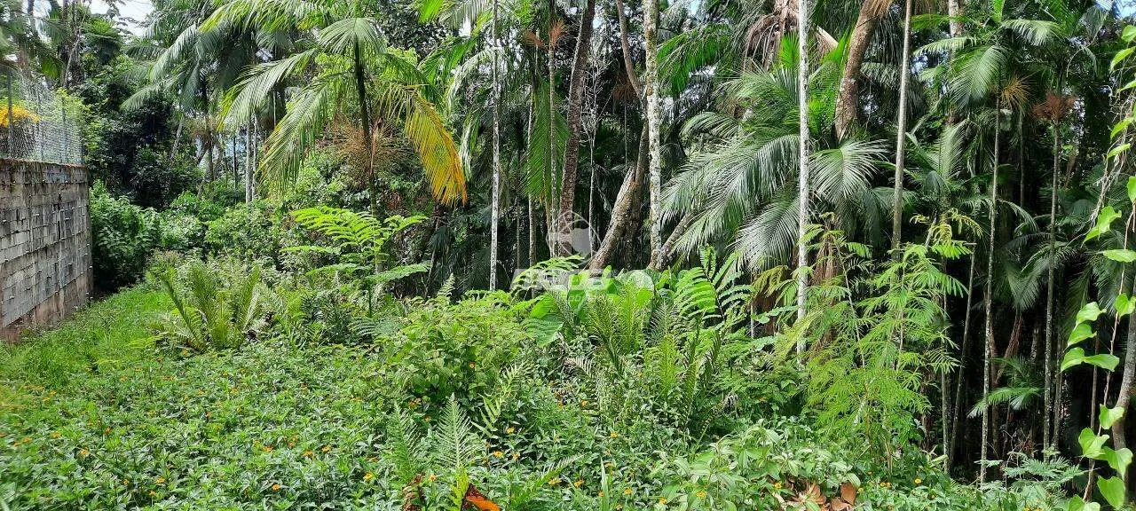 Terreno Urbano à venda, Estados - Timbó/SC — foto 3