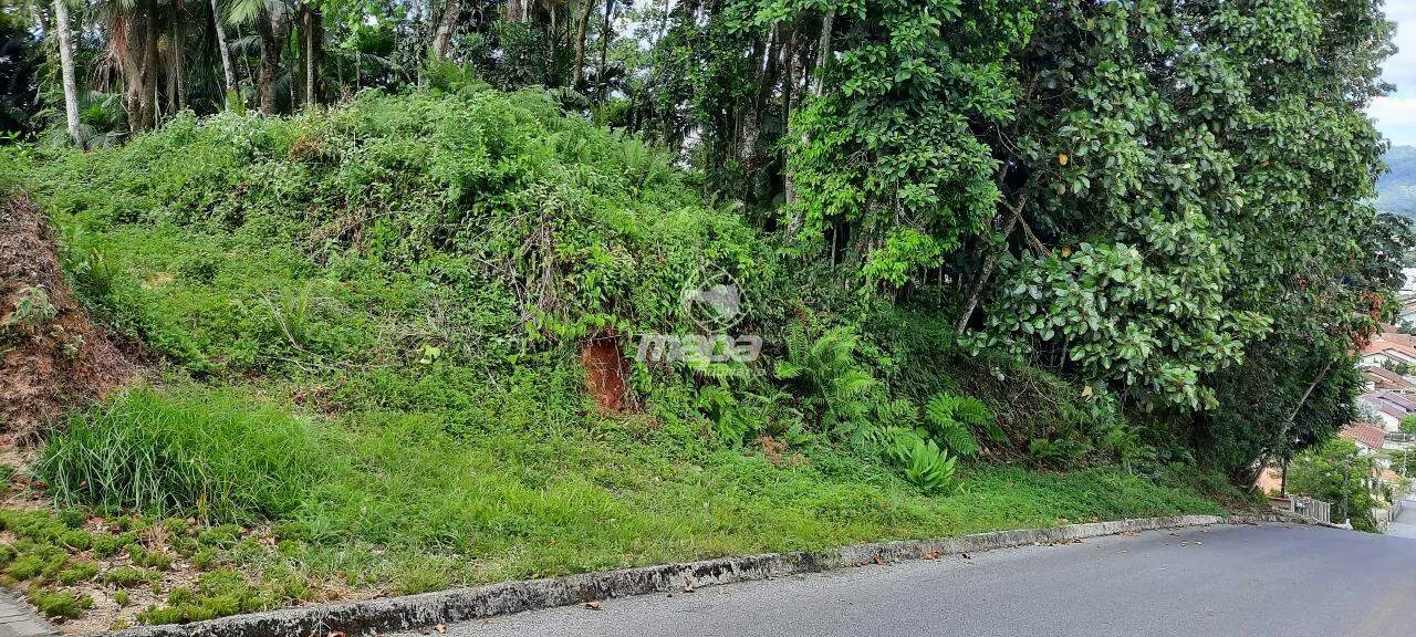 Terreno Urbano à venda, Estados - Timbó/SC — foto 4