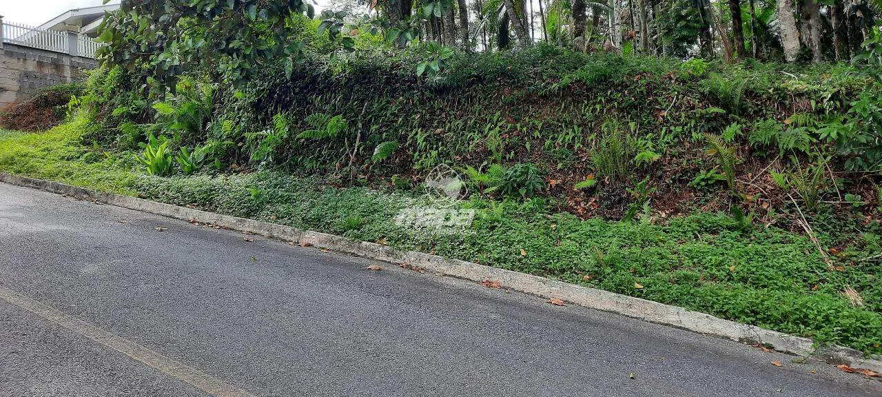 Terreno Urbano à venda, Estados - Timbó/SC — foto 5