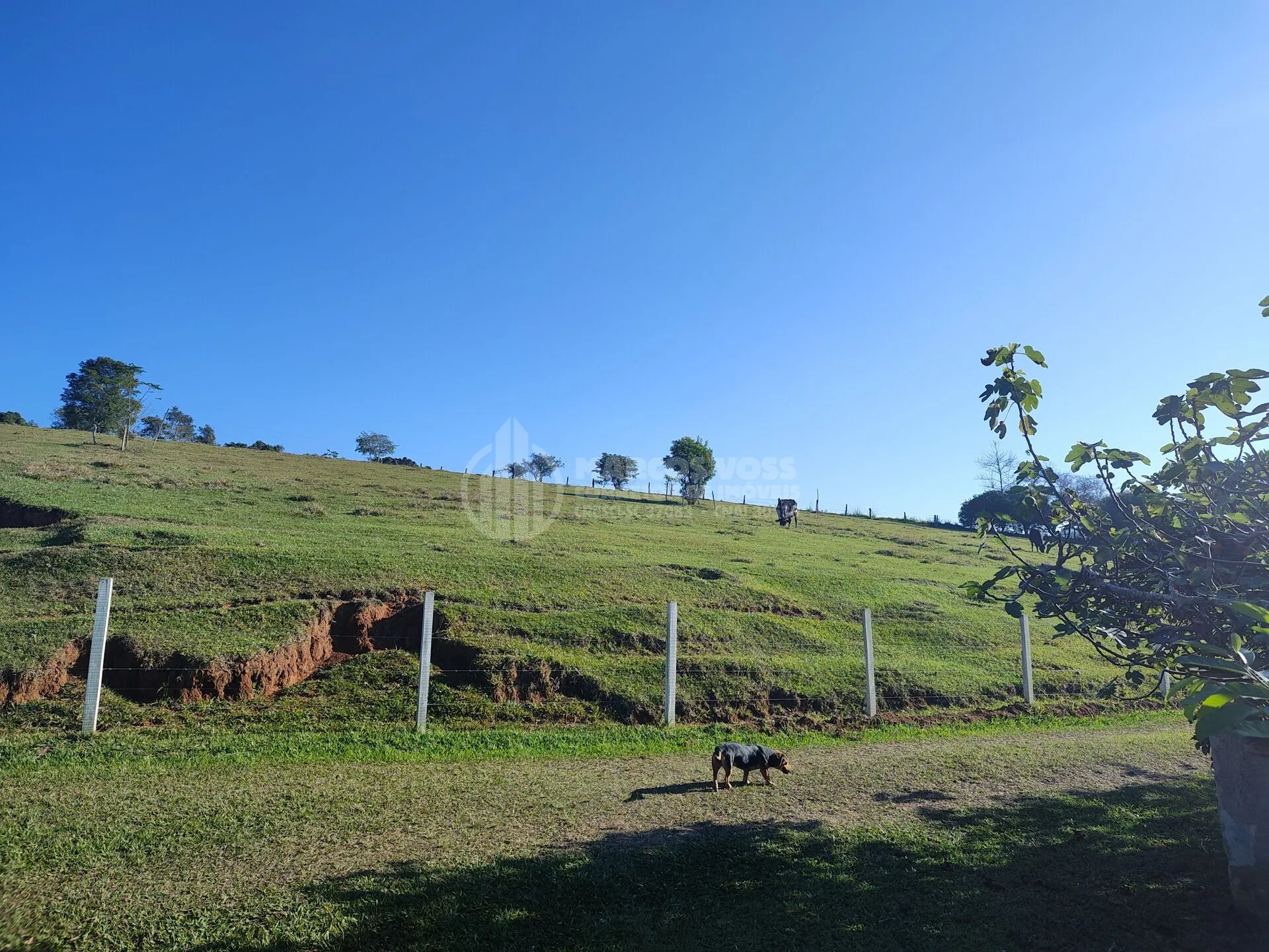 Sítio no Mosquito, Agronômica/SC — foto 4