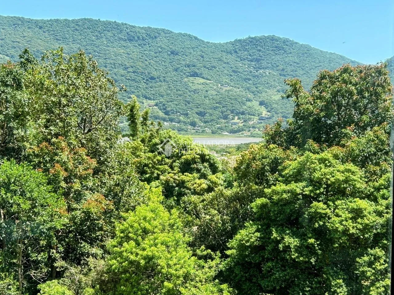 Imóvel — foto 6