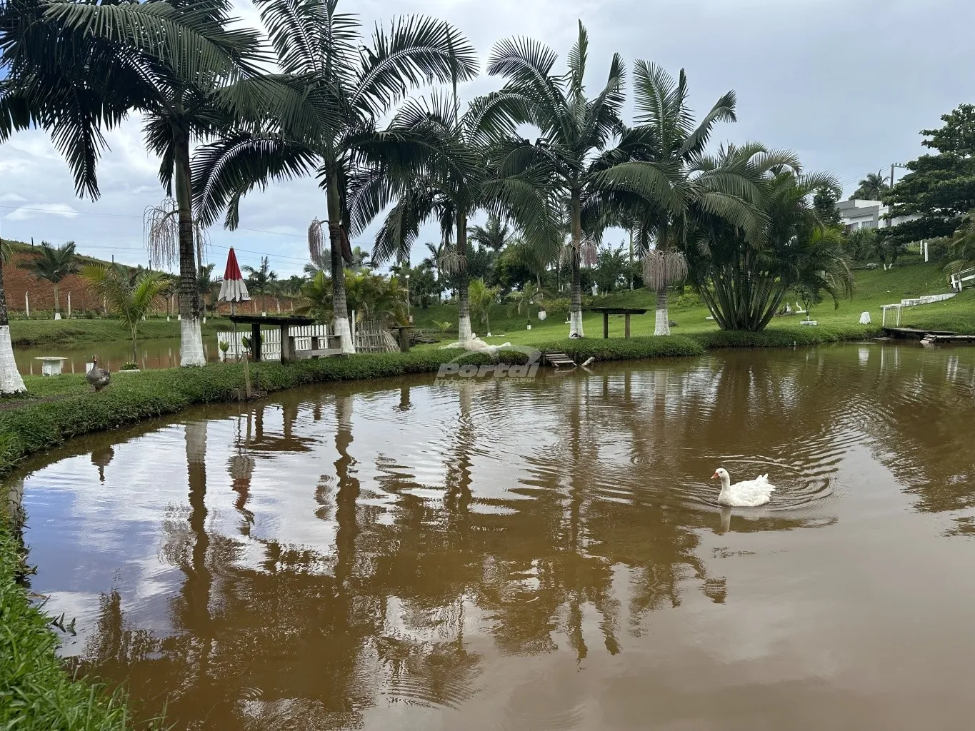 Chácara disponível para locação no bairro Morretes em Balneário Piçarras/SC. (Cód. 22945) - foto 1