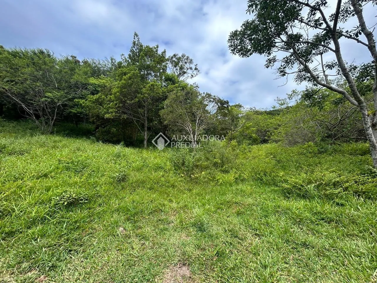 Imóvel — foto 5