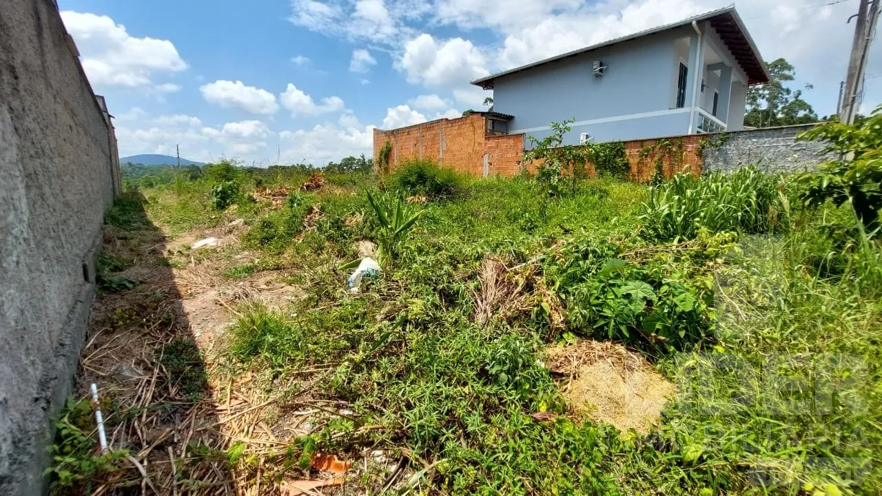 Terreno à venda plano e pronto para construir ou investir. — foto 4