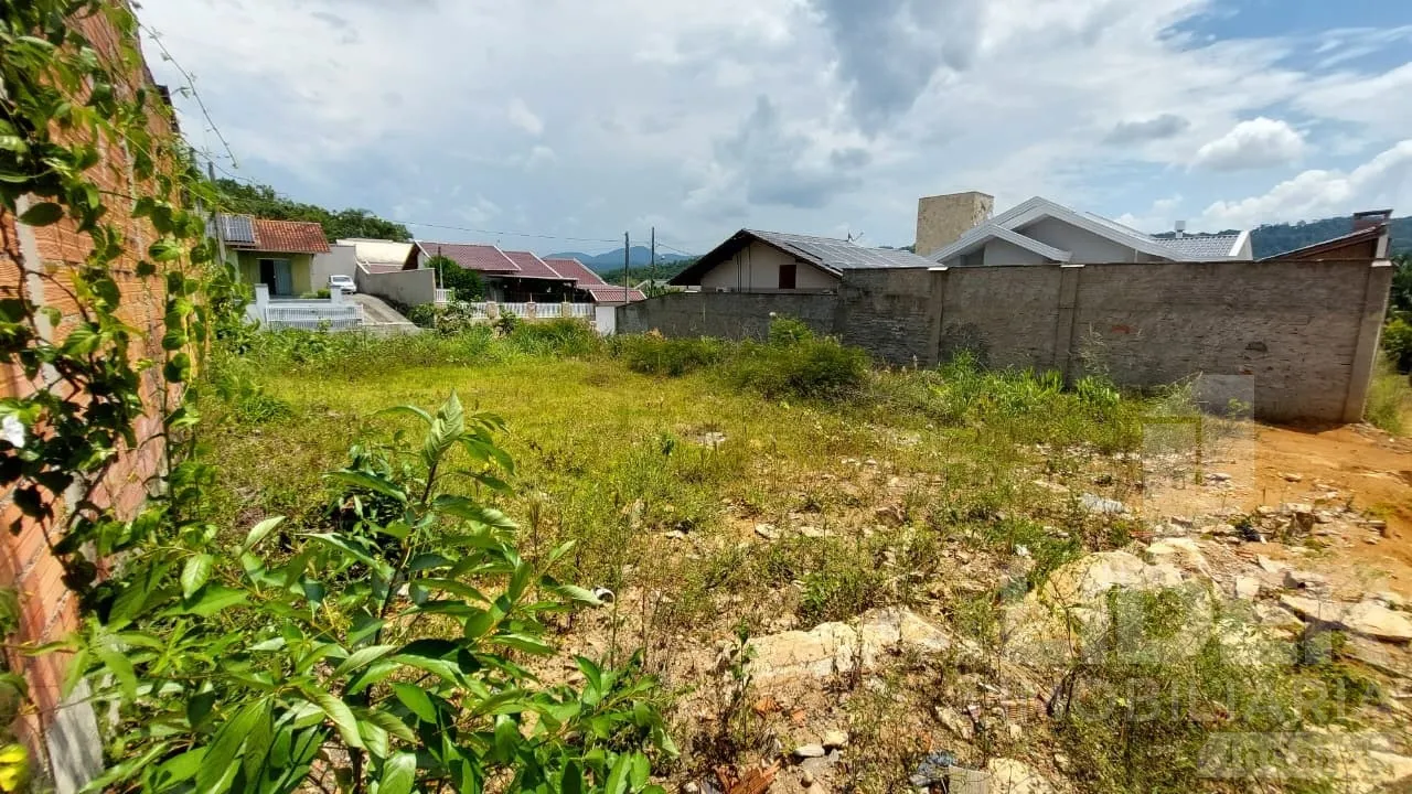 Terreno à venda plano e pronto para construir ou investir. — foto 6