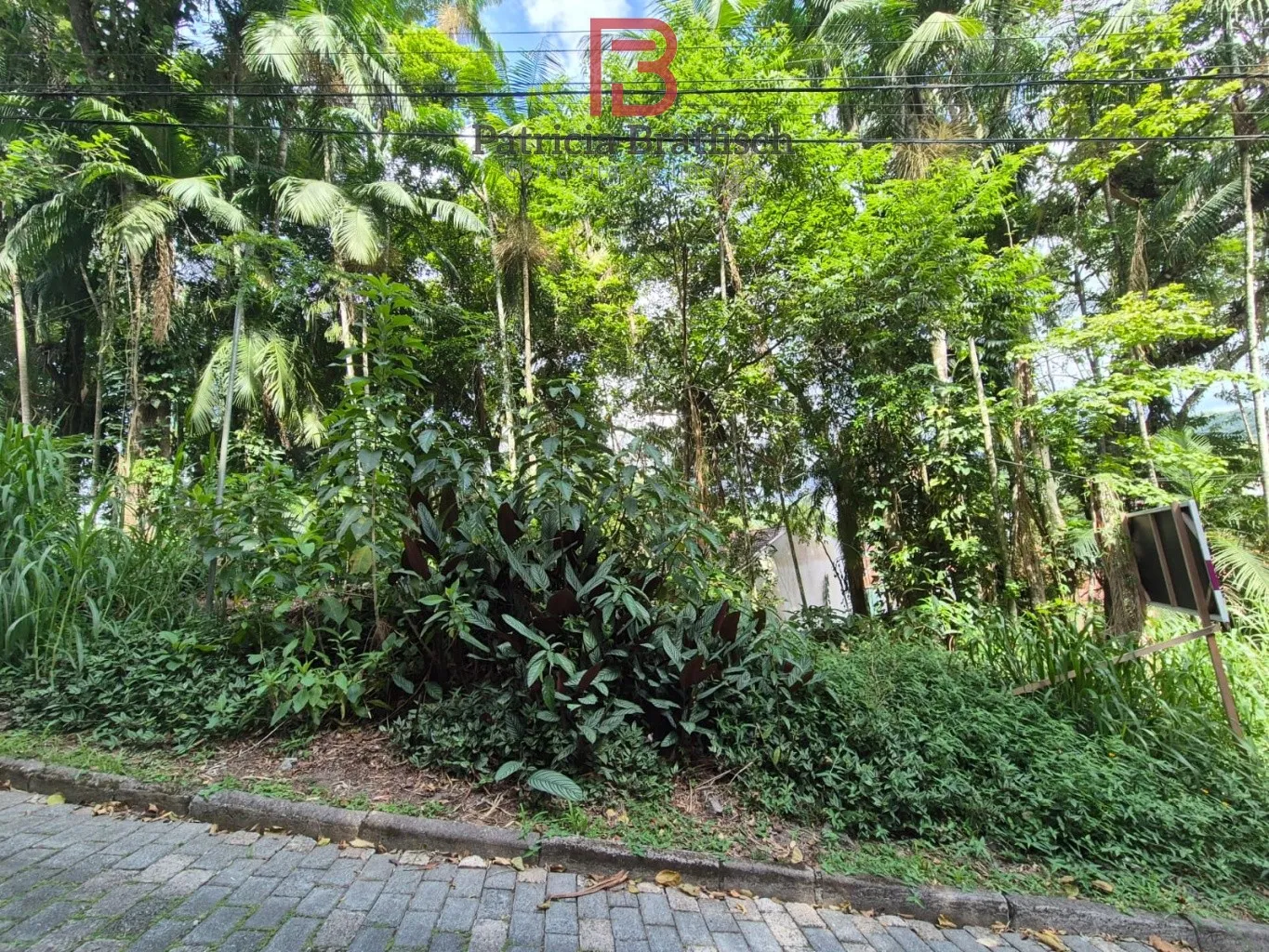 Terreno em loteamento de excelente padrão, no Bairro Velha. - foto 1