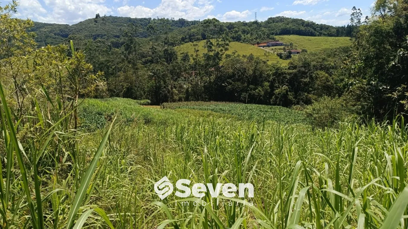 Imóvel Rural à venda, 46200m² no Vila Itoupava, Blumenau - foto 1