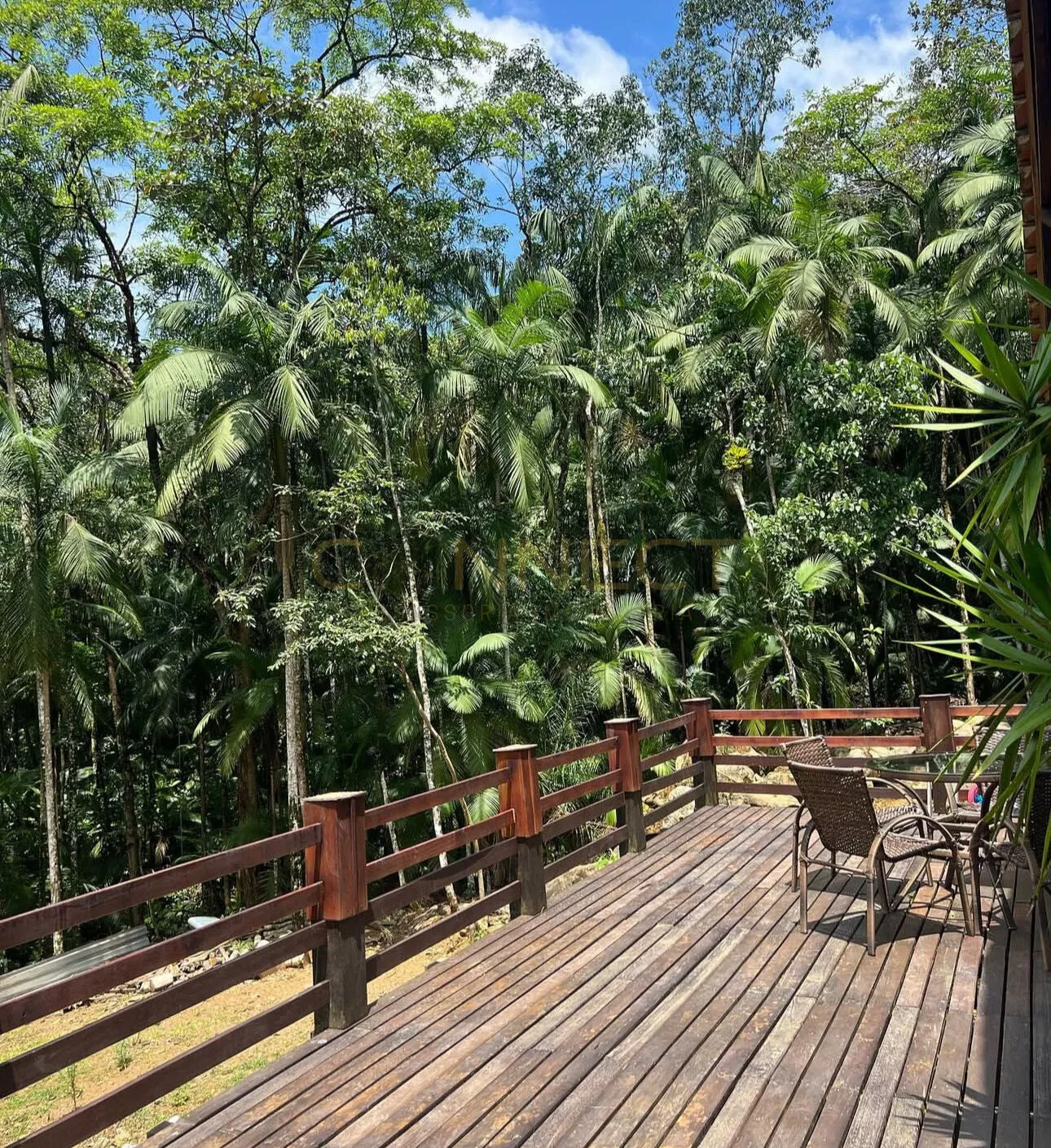 Sítio à venda no bairro São Pedro Velho - Rodeio/SC — foto 7