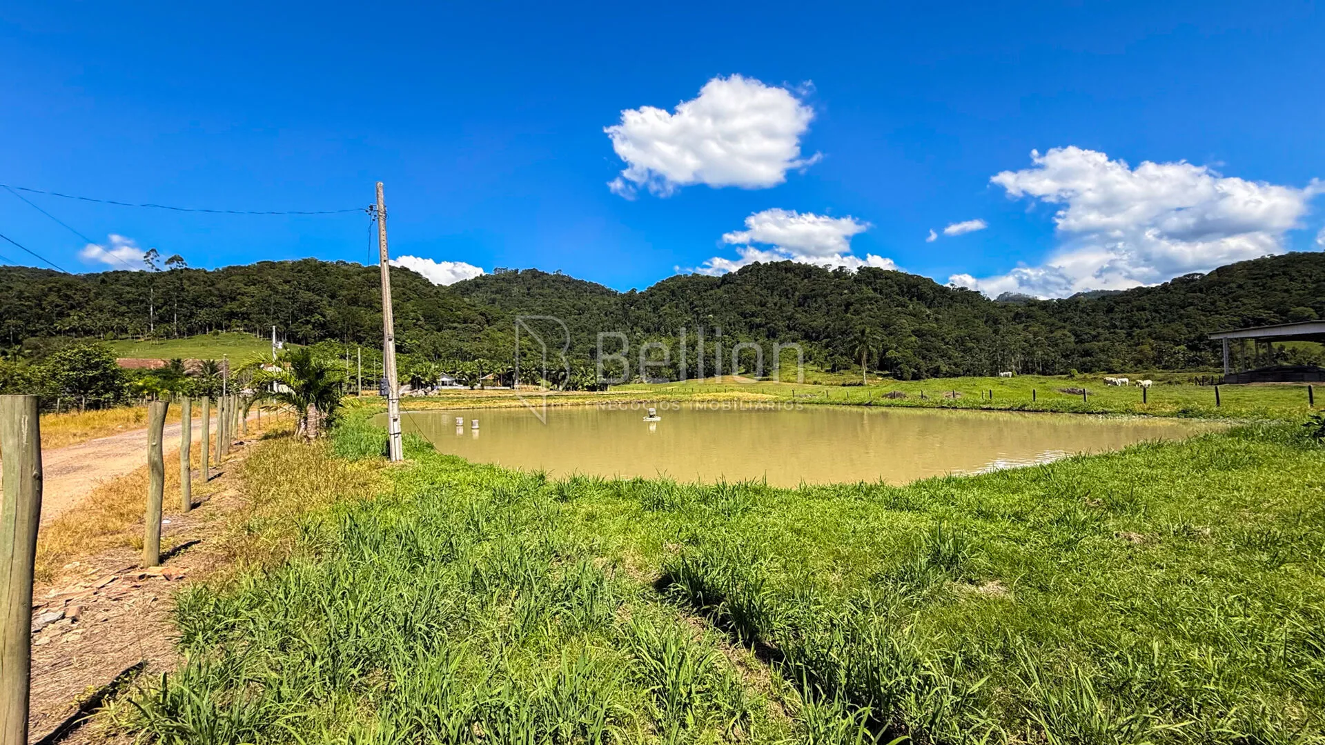 Terreno com 2.750 m e imóveis com renda na Estrada do Pomerano - Rio dos Cedros — foto 7