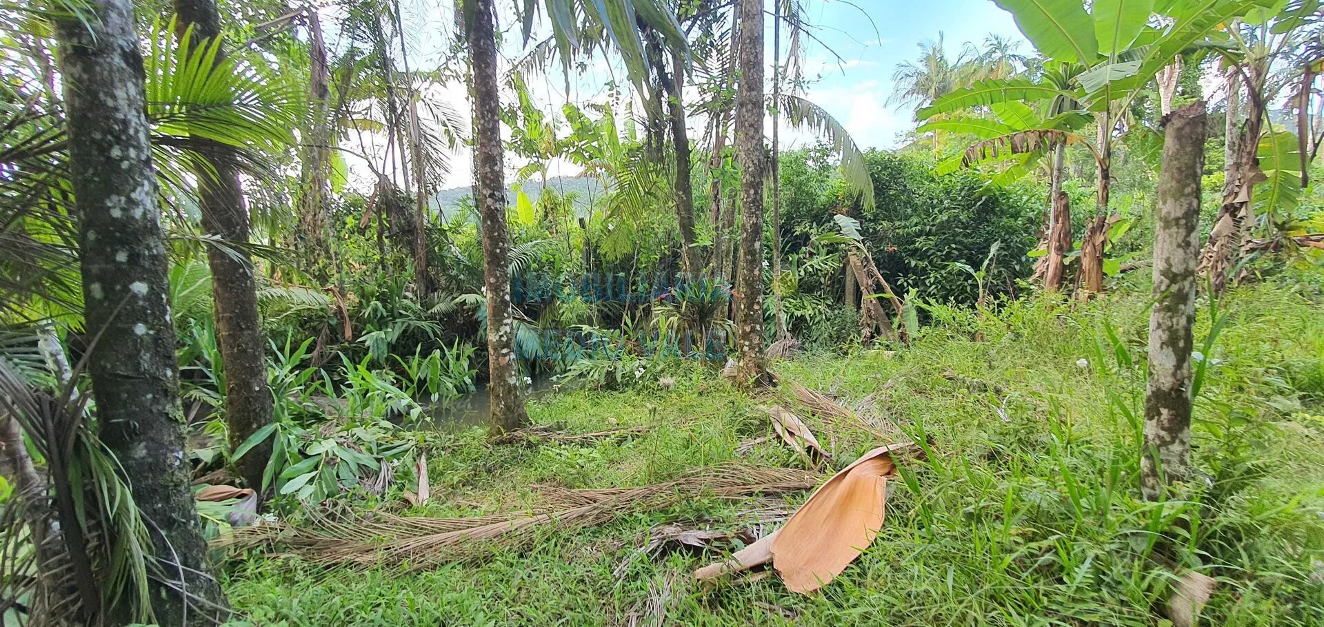 Terreno à venda em Indaial/SC - foto 1