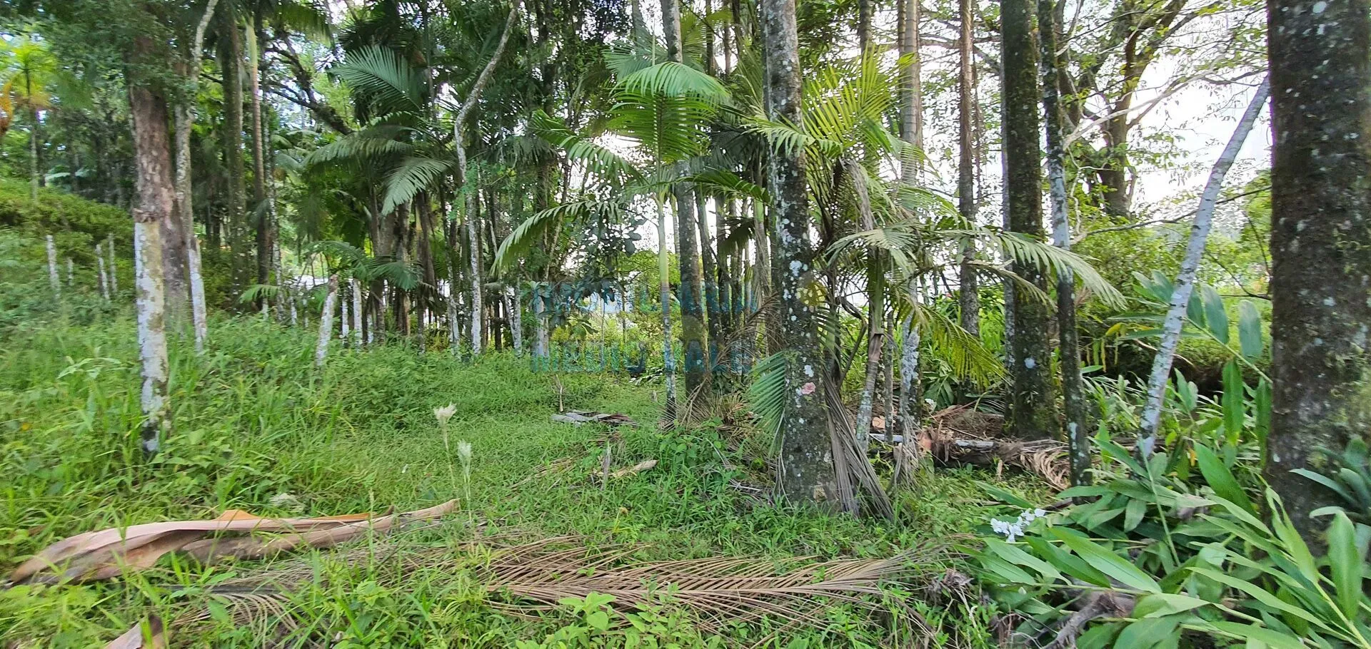 Terreno à venda em Indaial/SC — foto 3