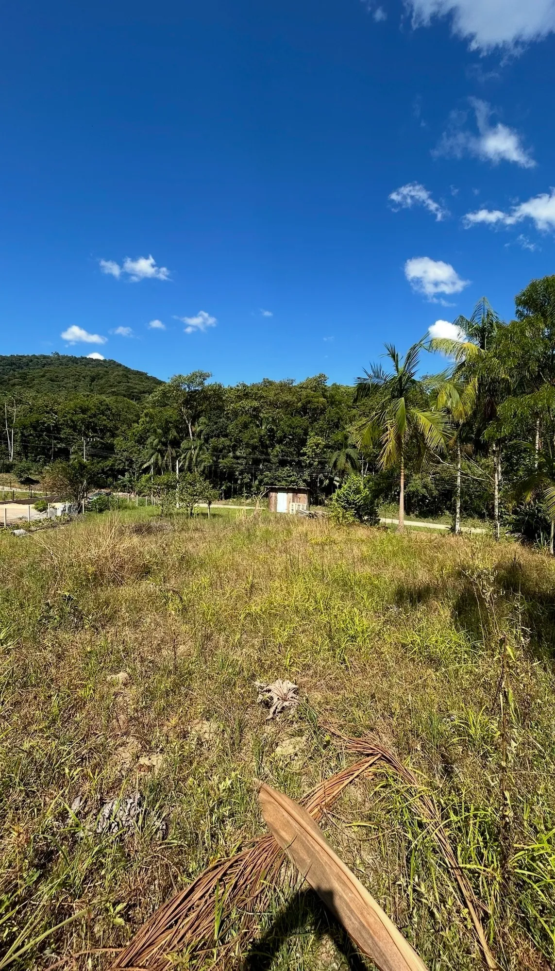 Terreno Testo Alto — foto 6