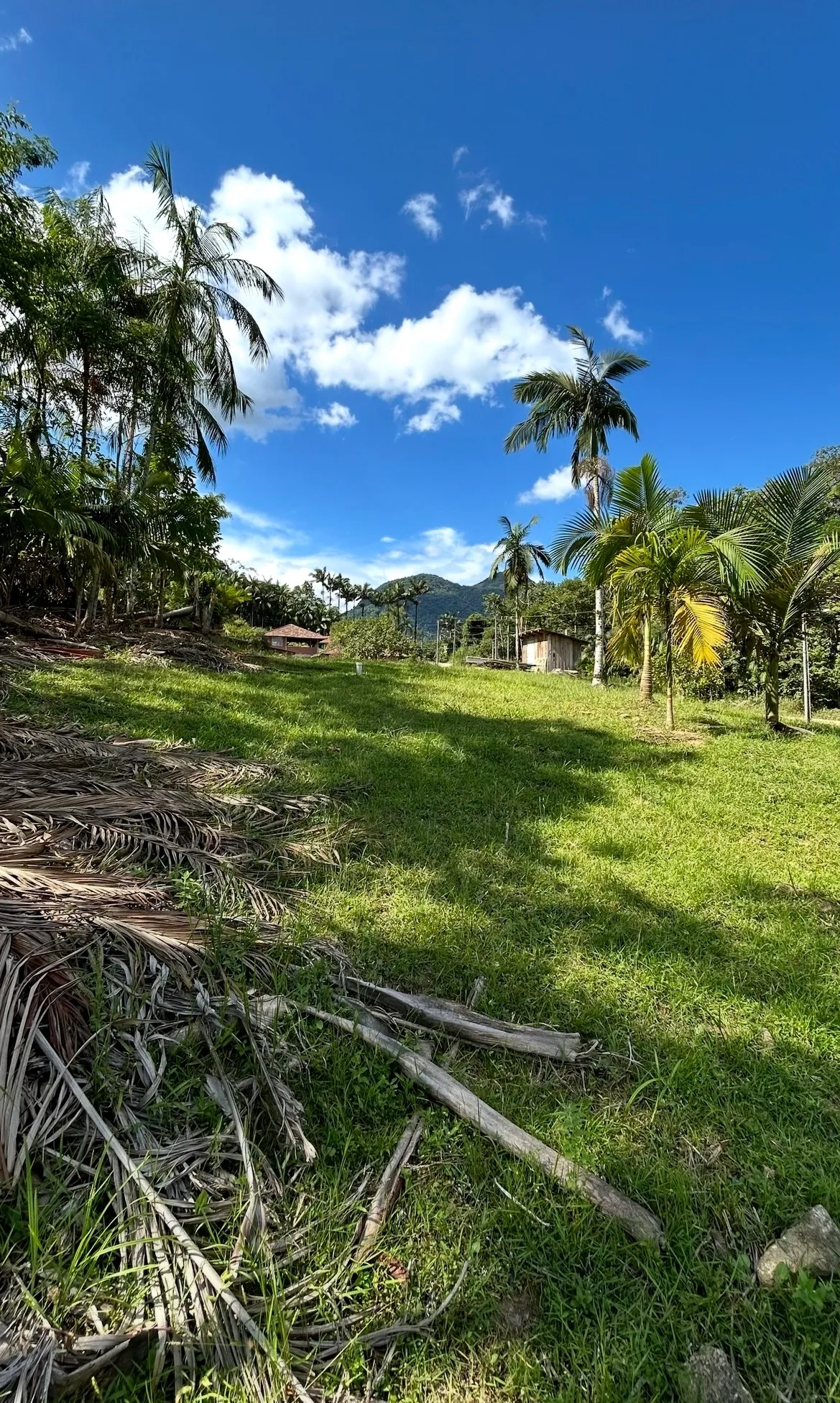 Terreno Testo Alto - foto 1