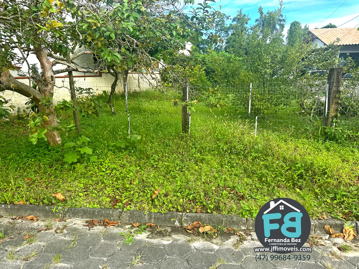 Terrenos a 300 metros da Praia de Ubatuba - foto 1