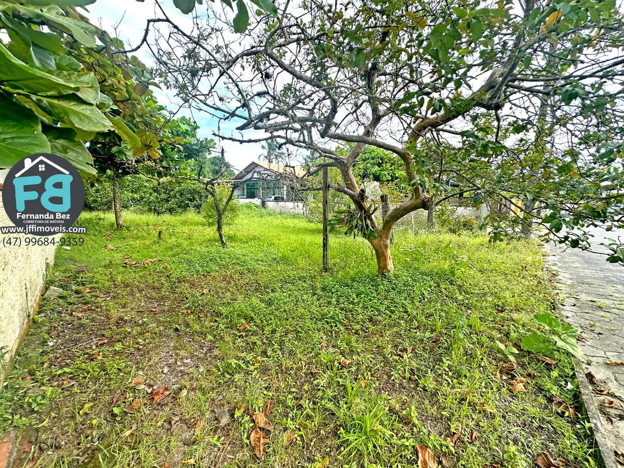 Terrenos a 300 metros da Praia de Ubatuba — foto 2