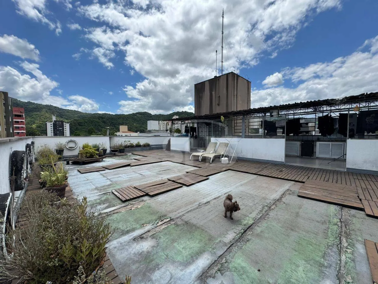 Apartamento com 3 dormitórios à venda, 140 m por R$ 660.000,00 - Garcia - Blumenau/SC - foto 1