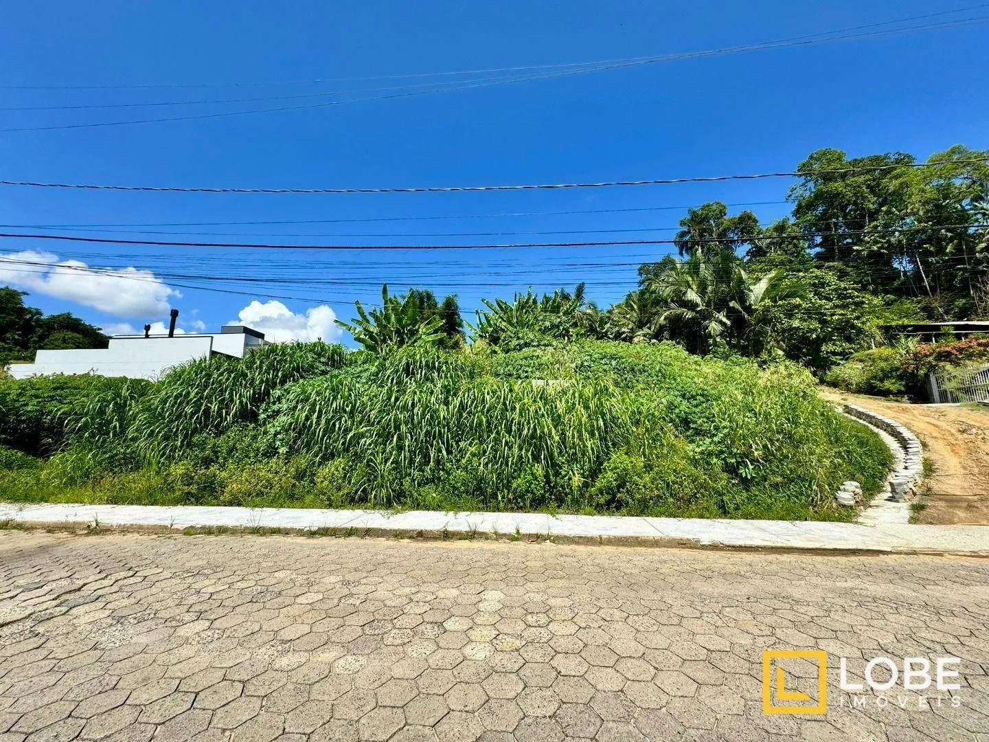 Terreno à Venda no Bairro Escola Agrícola - Blumenau/SC - foto 1