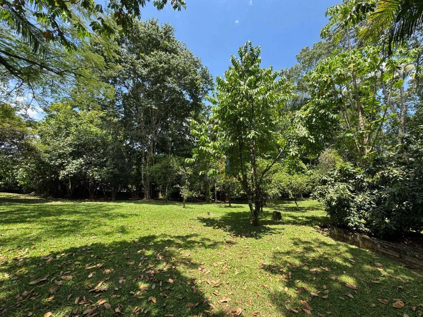Terreno à venda, 6340 m por R$ 4.000.000,00 - Salto - Blumenau/SC — foto 4