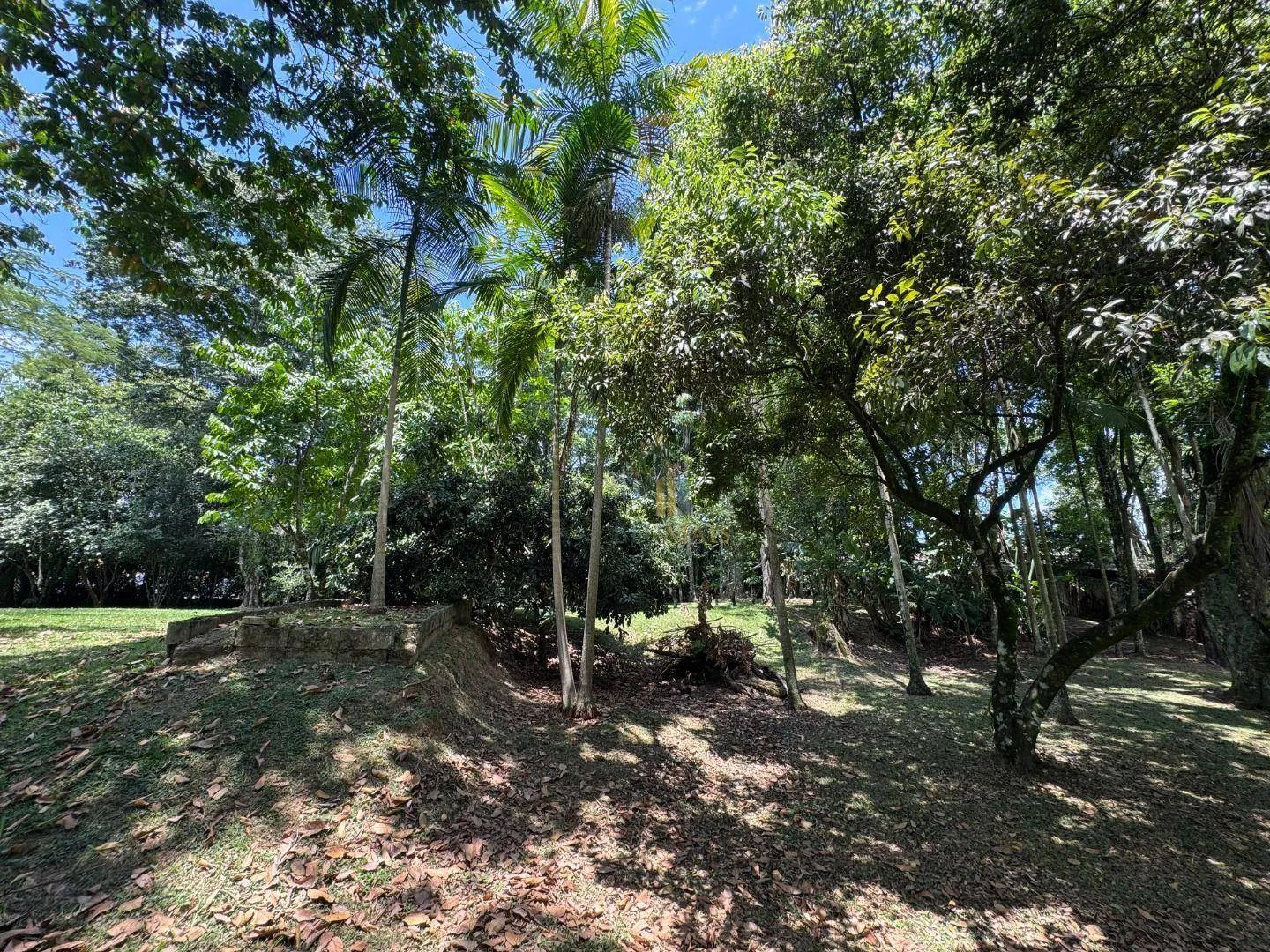 Terreno à venda, 6340 m por R$ 4.000.000,00 - Salto - Blumenau/SC — foto 5