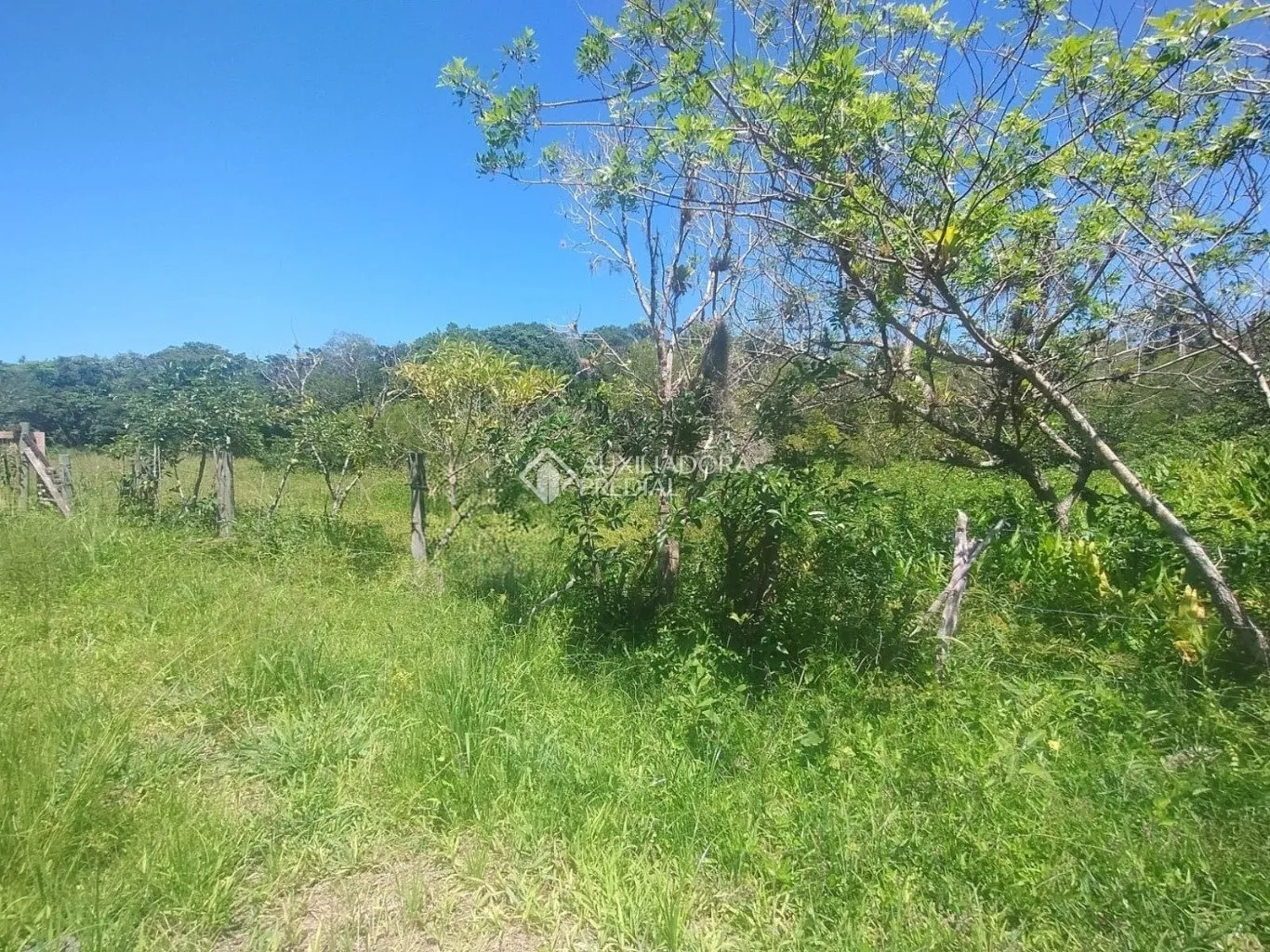 Imóvel - foto 1