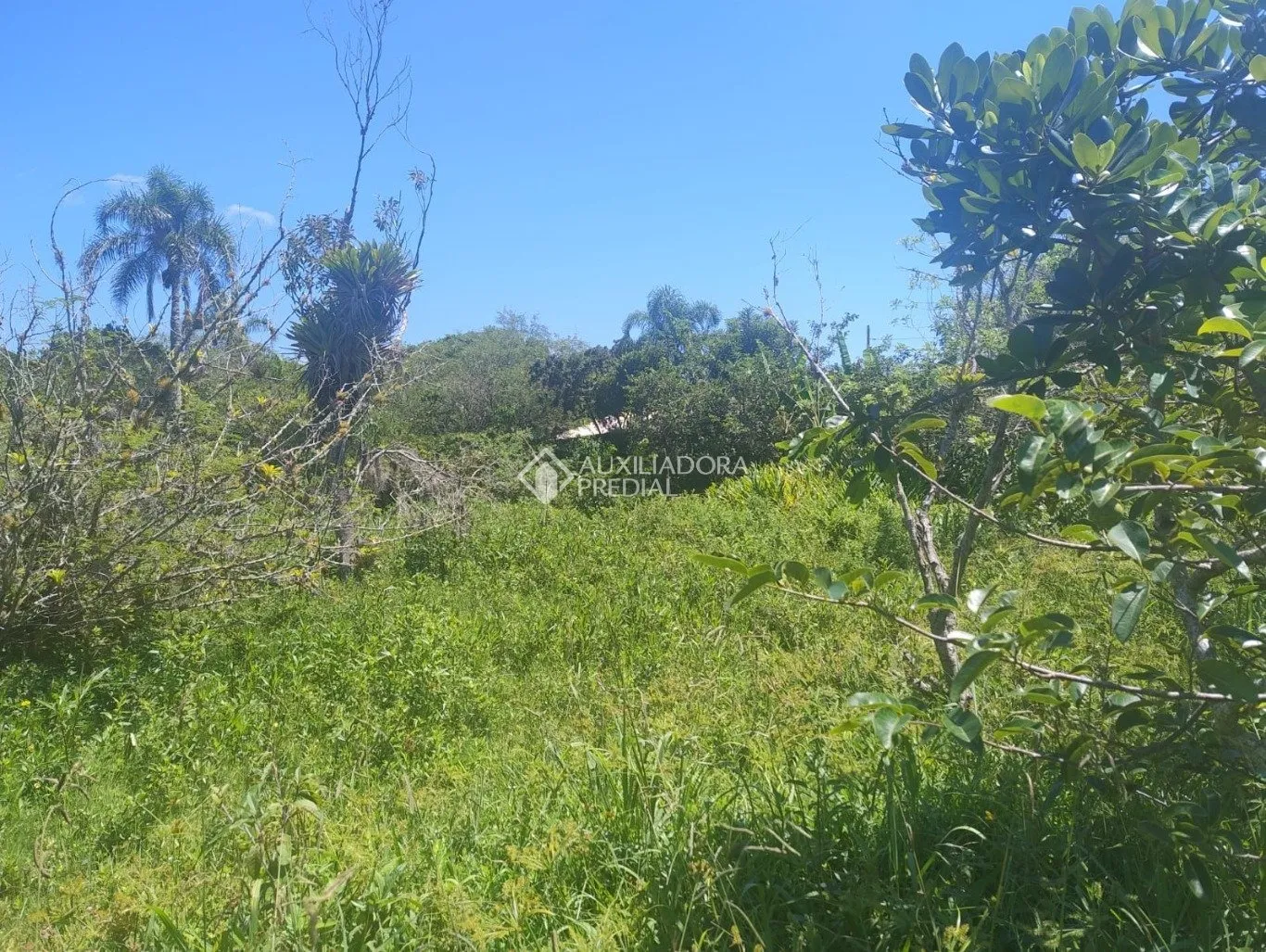 Imóvel — foto 2