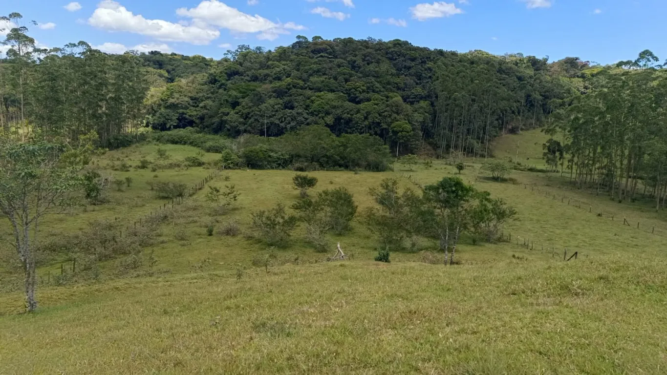 Terreno Industrial à Venda - Localização Estratégica - Testo Salto/Blumenau - foto 1