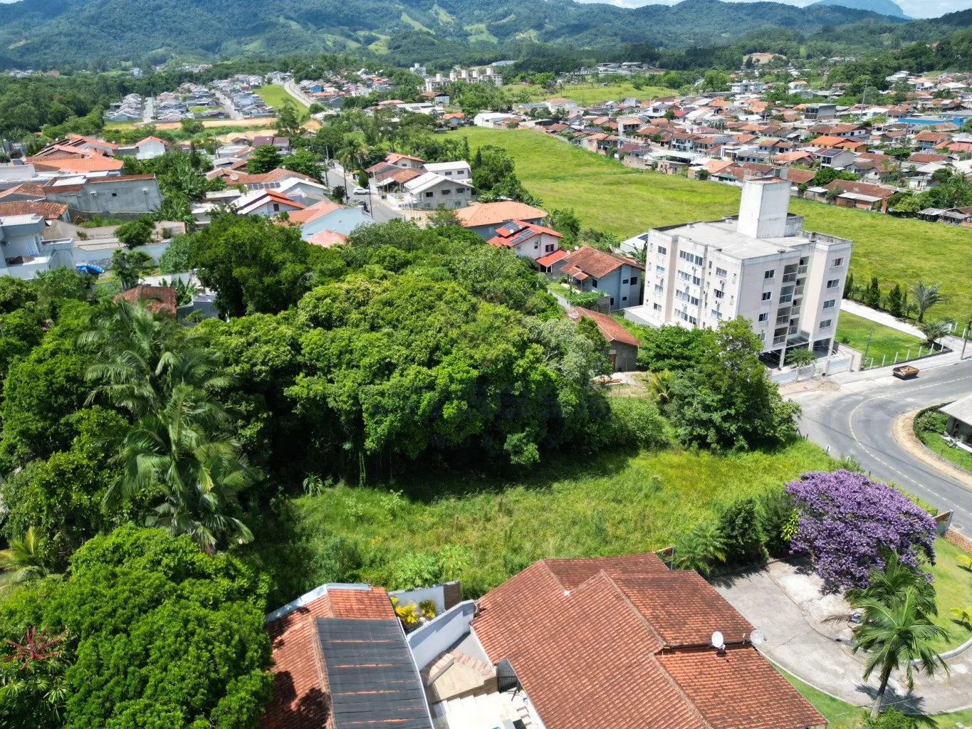 Terreno com16 metros de frente — foto 3