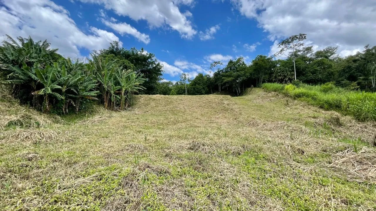 Terreno Plano com 2.531m no Badenfurt - Ideal para Casas ou Sobrados - foto 1