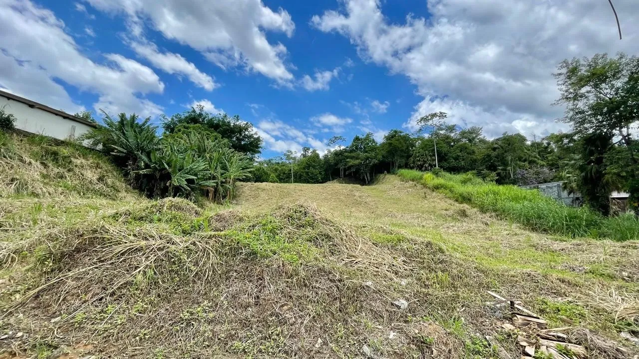 Terreno Plano com 2.531m no Badenfurt - Ideal para Casas ou Sobrados — foto 2
