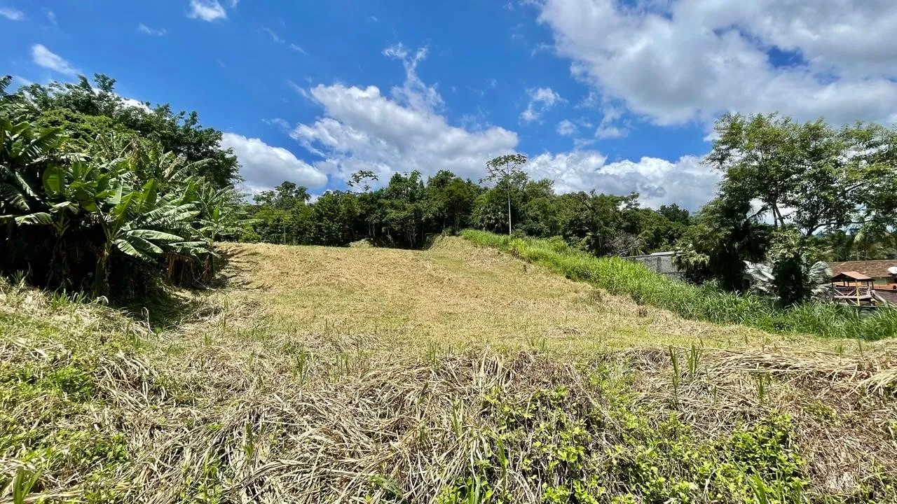 Terreno Plano com 2.531m no Badenfurt - Ideal para Casas ou Sobrados — foto 3