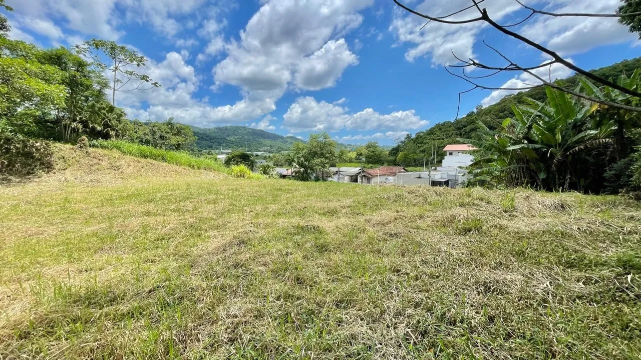 Terreno Plano com 2.531m no Badenfurt - Ideal para Casas ou Sobrados — foto 4