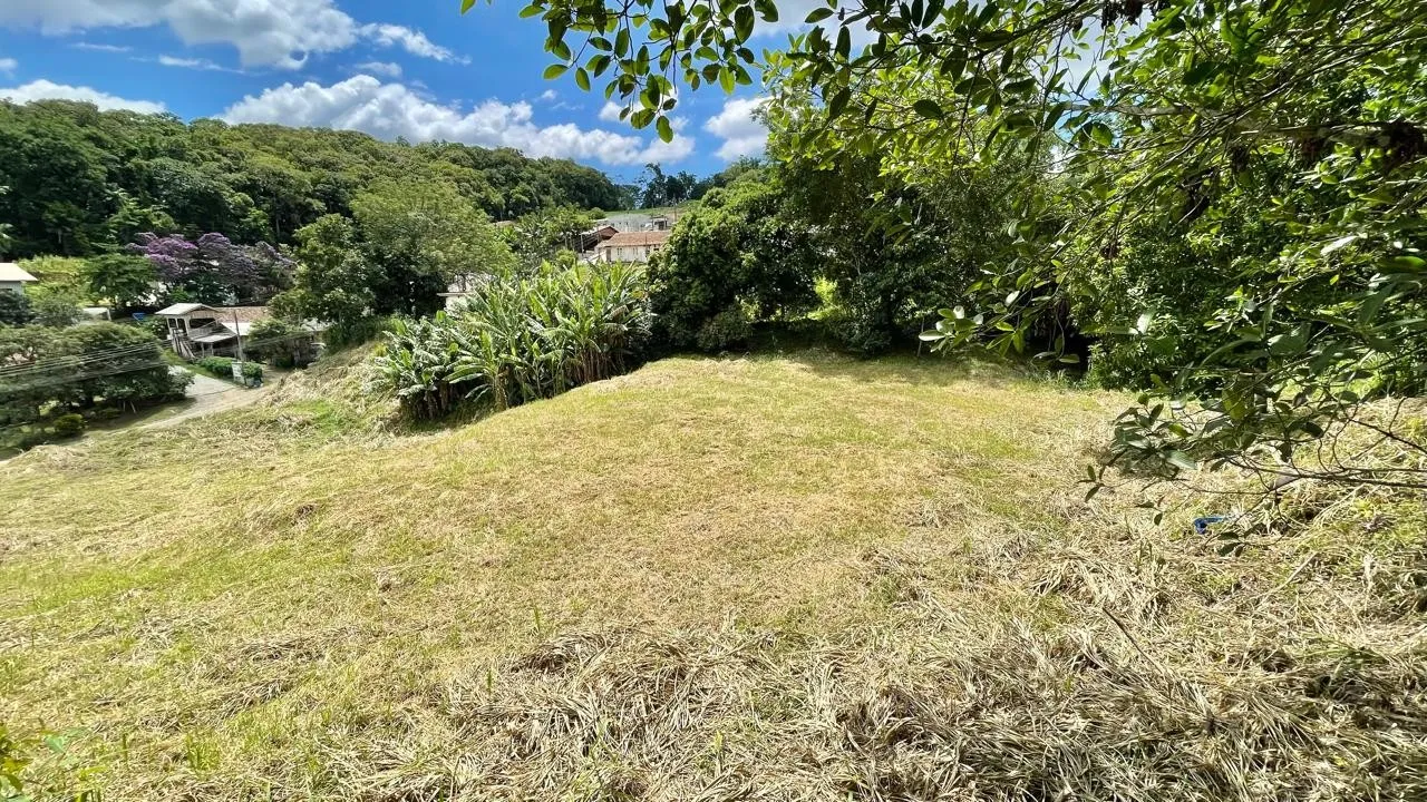 Terreno Plano com 2.531m no Badenfurt - Ideal para Casas ou Sobrados — foto 5