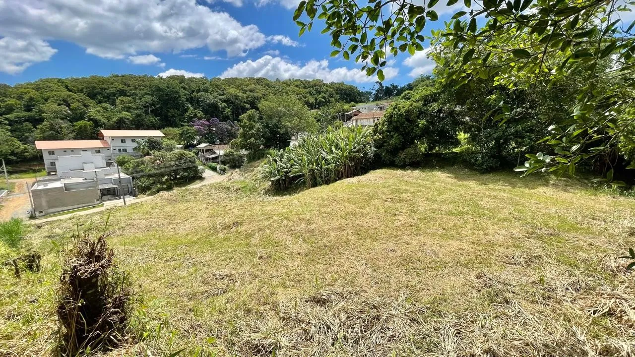 Terreno Plano com 2.531m no Badenfurt - Ideal para Casas ou Sobrados — foto 6