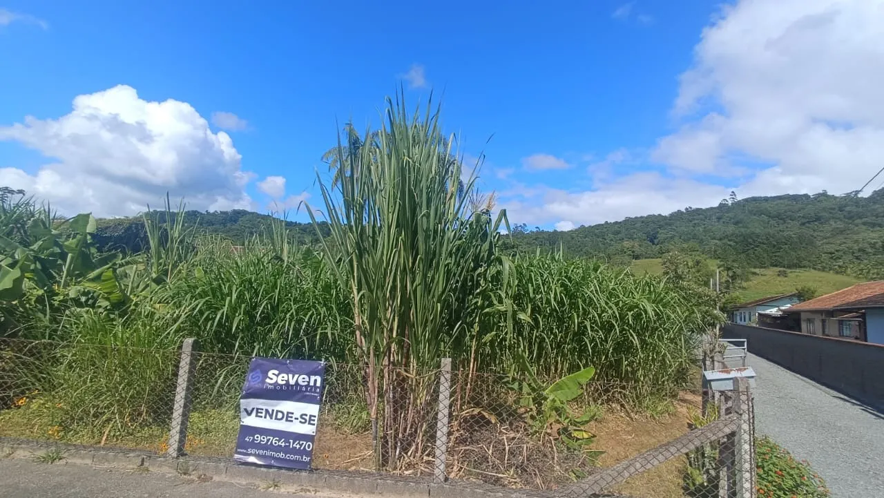 Sítio à venda em Pomerode - Rota do Enxaimel. — foto 3