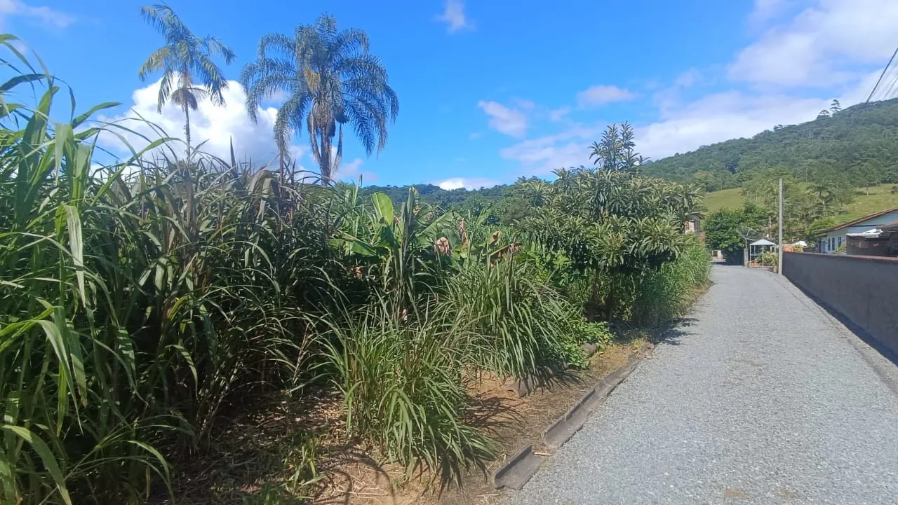 Sítio à venda em Pomerode - Rota do Enxaimel. — foto 4