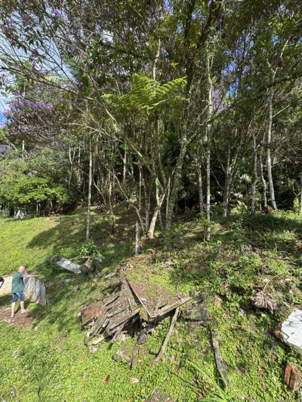 OPORTUNIDADE ÚNICA PARA INVESTIMENTO OU PROJETO RESIDENCIAL — foto 5