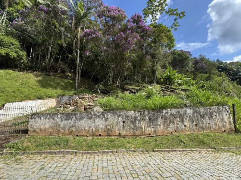 OPORTUNIDADE ÚNICA PARA INVESTIMENTO OU PROJETO RESIDENCIAL - foto 1