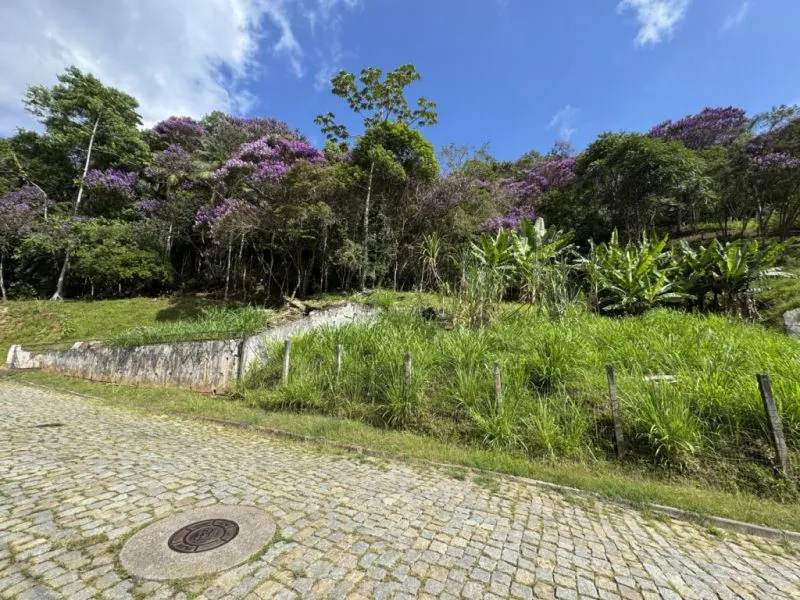 OPORTUNIDADE ÚNICA PARA INVESTIMENTO OU PROJETO RESIDENCIAL — foto 2