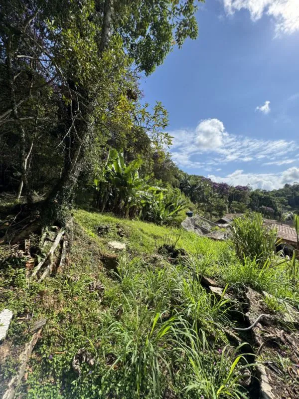 OPORTUNIDADE ÚNICA PARA INVESTIMENTO OU PROJETO RESIDENCIAL — foto 4