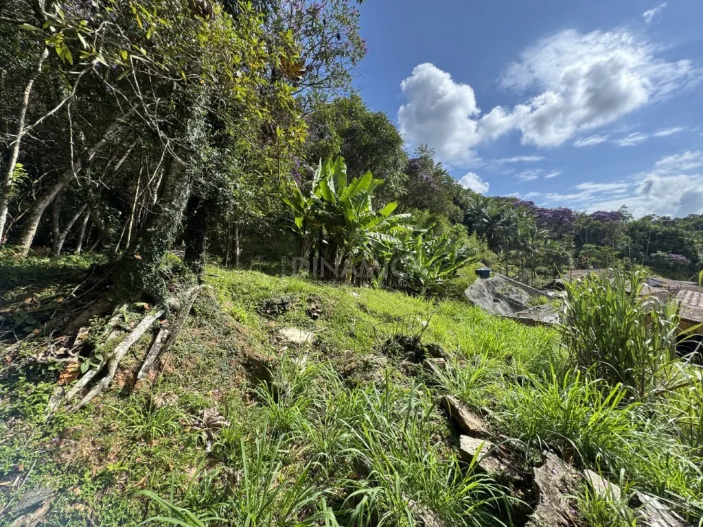 OPORTUNIDADE ÚNICA PARA INVESTIMENTO OU PROJETO RESIDENCIAL - foto 1