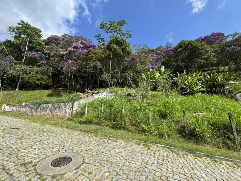 OPORTUNIDADE ÚNICA PARA INVESTIMENTO OU PROJETO RESIDENCIAL — foto 3