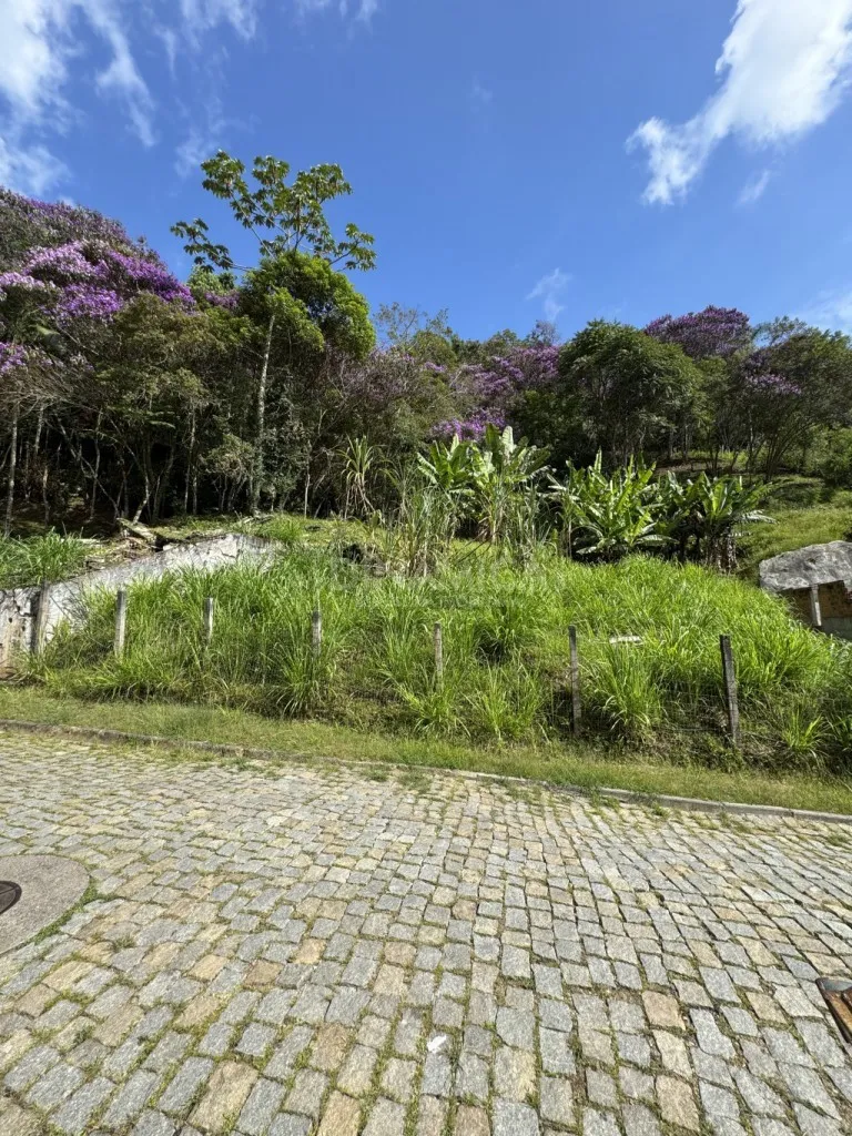 OPORTUNIDADE ÚNICA PARA INVESTIMENTO OU PROJETO RESIDENCIAL — foto 6