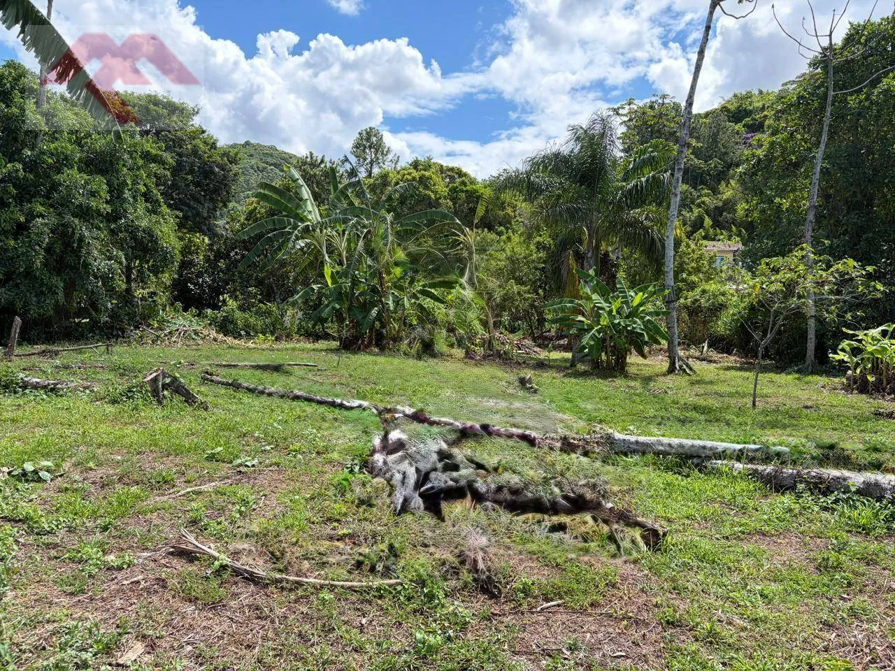 Terreno para alugar, 2500 m - Boa Vista - Blumenau/SC - foto 1