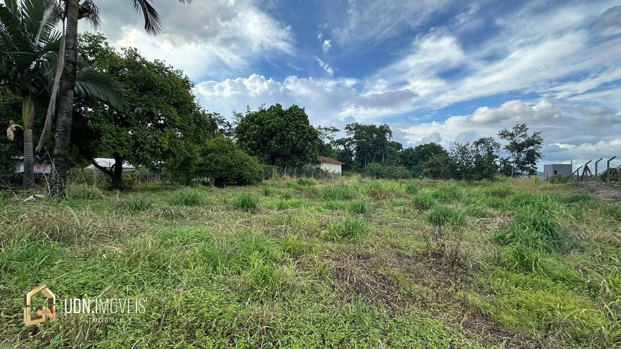 Terreno de 3.000 m Ideal para Galpão Comercial ou Industrial - Passo Manso — foto 5