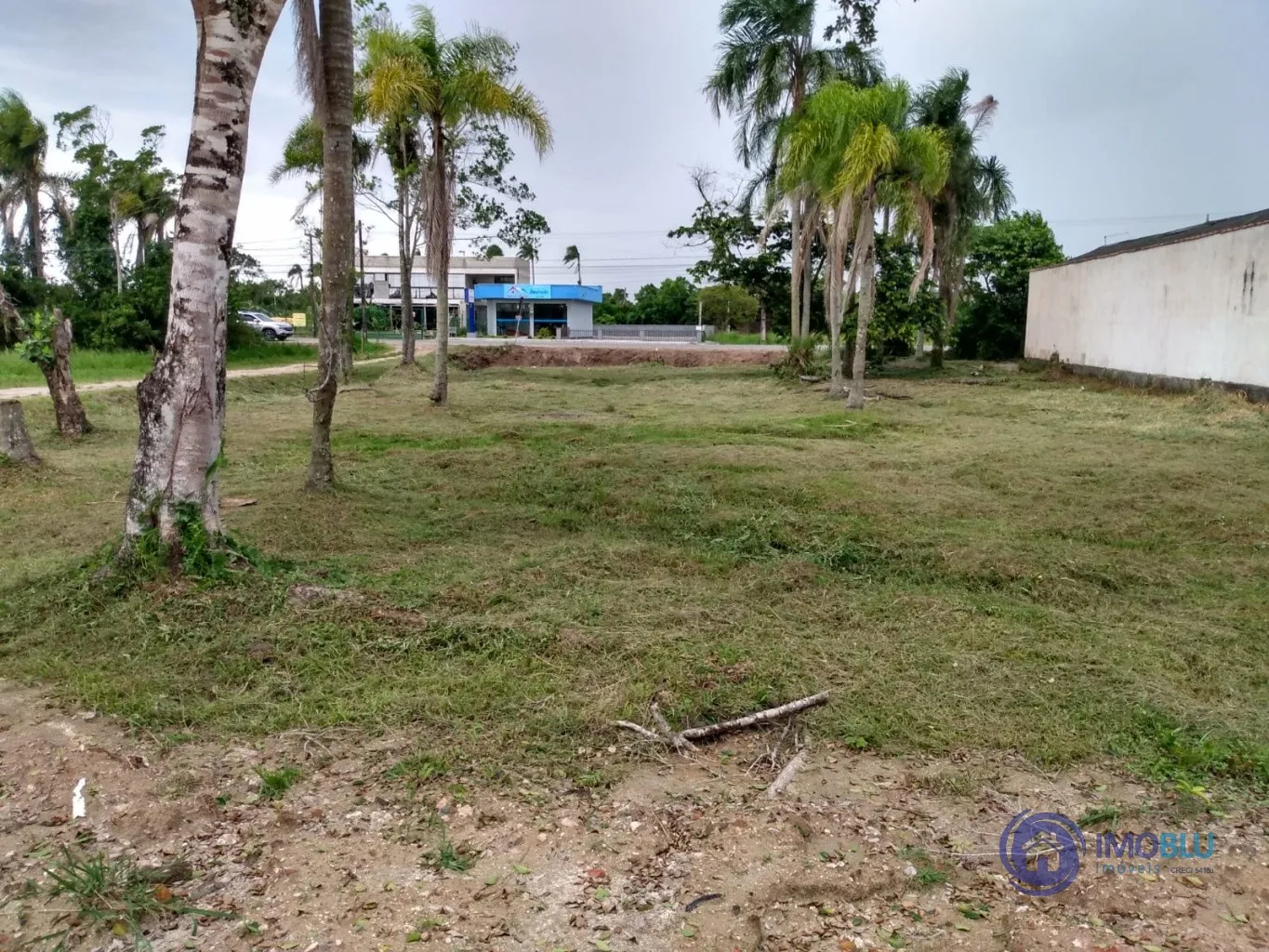 EXELENTE OPORTUNIDADE DE NEGÓCIO - foto 1