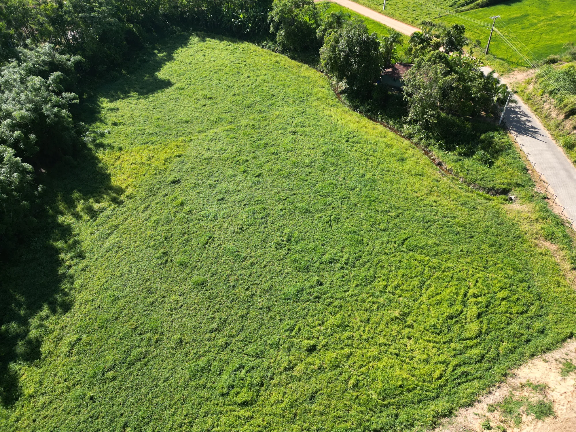 Terreno pra Sítio em Ascurra — foto 2
