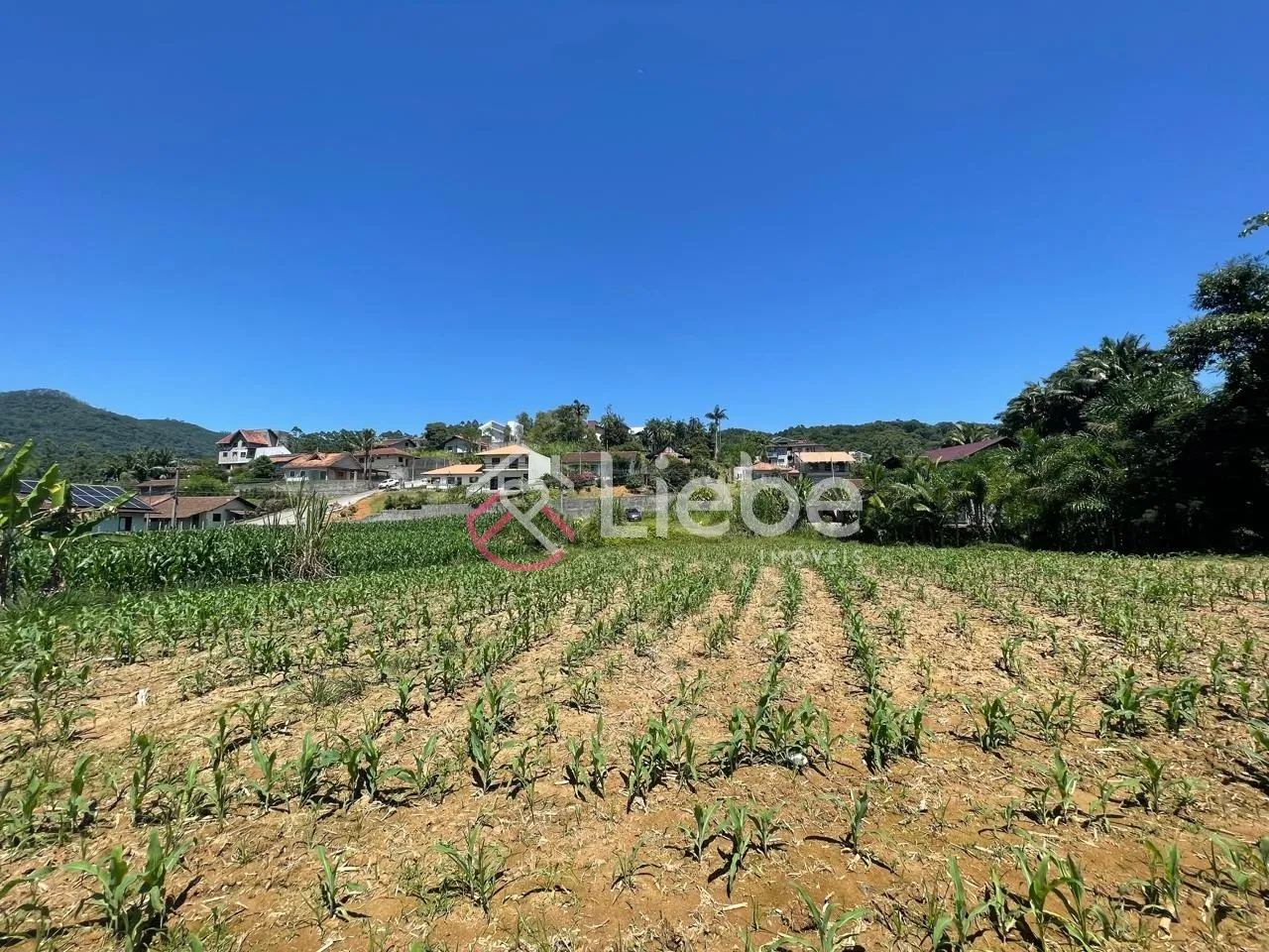 Ótimo terreno no bairro Ribeirão Areia na cidade de Pomerode com 2.420,55m fazendo frente em 20,20 metros. — foto 5