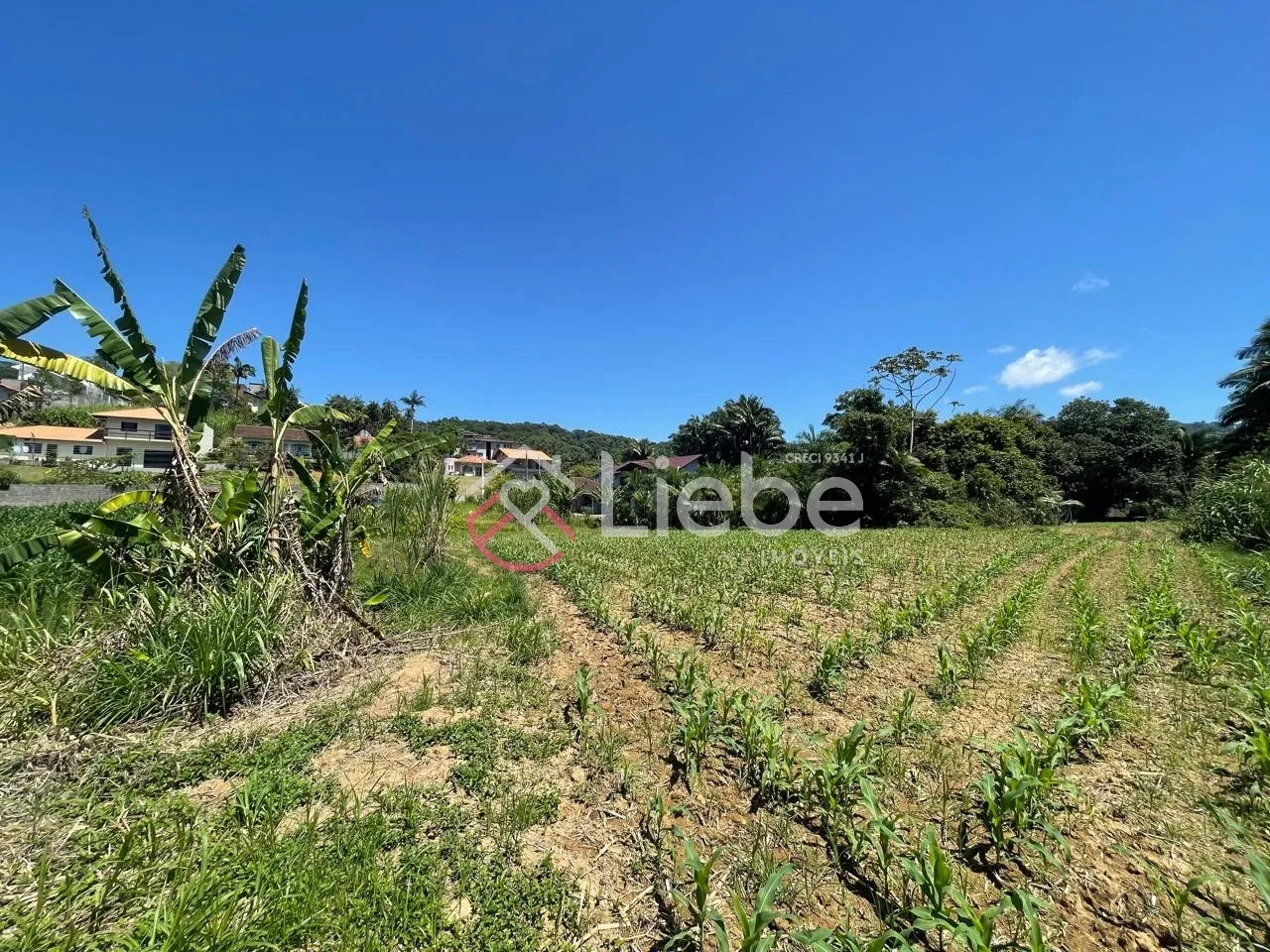 Ótimo terreno no bairro Ribeirão Areia na cidade de Pomerode com 2.420,55m fazendo frente em 20,20 metros. — foto 6