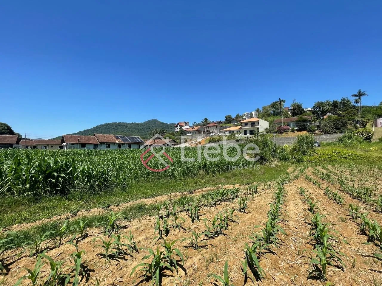 Ótimo terreno no bairro Ribeirão Areia na cidade de Pomerode com 2.420,55m fazendo frente em 20,20 metros. — foto 7